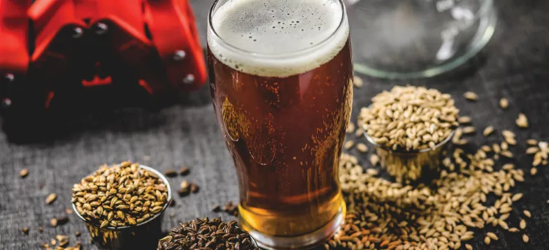  啤酒发酵过程大揭秘！vAPCI+CMS 联用新技术若何急剧捉拿韵渭码？？？？？